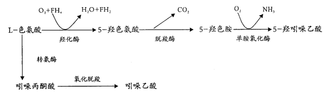 失眠抑郁皮肤炎症？可能你缺乏这种氨基酸