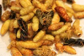 广西十大“黑暗”料理，你能扛的到最后吗？图片