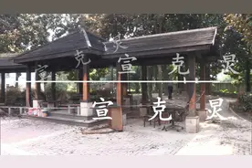 63岁上海阿姨半夜小区放火，烧毁整个凉亭！只因为图片
