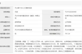 天水郡十字人行便桥项目即将开建！图片