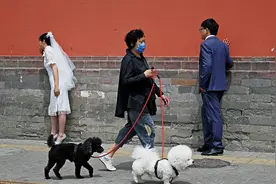 70岁，不结婚、没有小孩，怎么过？图片