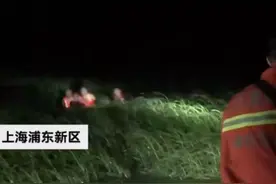 4人夜晚突遇涨潮，海水已齐大人胸口，消防员托举小孩游回岸边图片