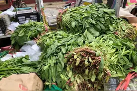 “15元收1车菠菜”惹争议，春天的菠菜有啥不同？很多人不懂吃图片