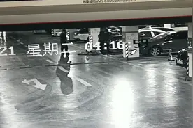 四人贵阳街头捡到一头猪，将其瓜分！主人讨赔偿，对方竟说：人都有贪欲图片