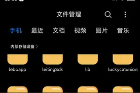 安卓手机小米内存不够用删无可删？看过来，教你删除“其他”文件图片