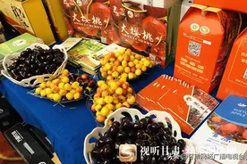 最新丨“甘味”品牌目录及广告语“闪亮”登场图片