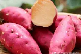 中国哪里的红薯最好吃？认准这3个品种买，软糯香甜，细腻无纤维图片