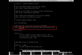 玩客云系列3之debian安装WEB环境nmp(下)图片