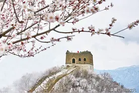 散文 | 漫忆长城图片