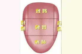 中医基础理论——形体官窍（五官九窍）图片