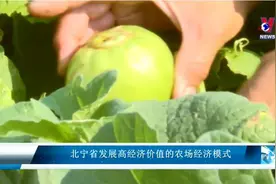 发达省份重视农业，越南北宁省发展高经济价值农场，值得中国参考图片
