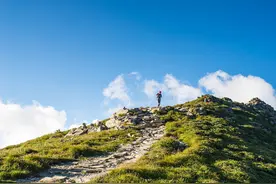 随县唐县镇为群众办实事确保饮水安全图片