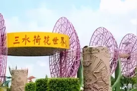 佛山三水荷花世界的《荷花仙子》主题雕塑图片