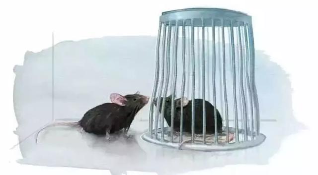 世界自闭症日：从肠道出发，治疗自闭症