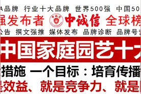虹越登上中诚信全球榜2020中国家庭园艺十大品牌图片