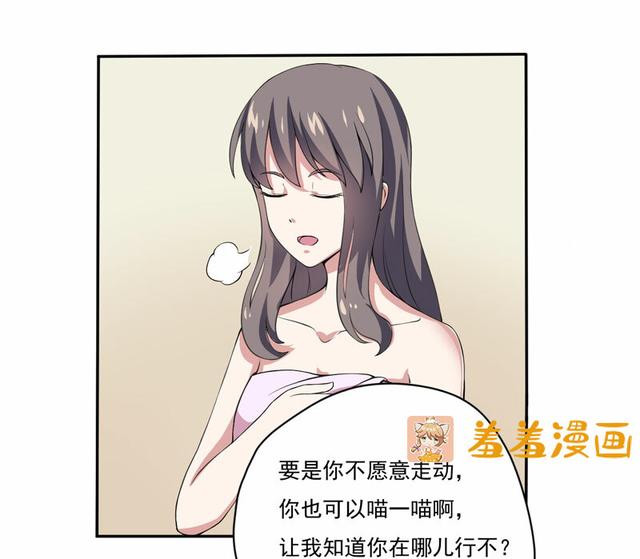 夜路走多了，竟捡到宝，带着巨钻的小黑猫一只