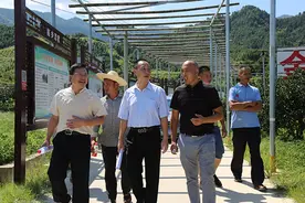 广西农业农村厅质监处处长张庆军到 融安县指导融安金桔质量安全监管图片