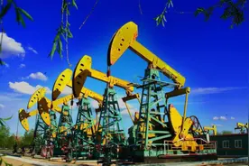 沙特发现4处新油田！中方大批工程船连夜出发，美有“苦”说不出图片