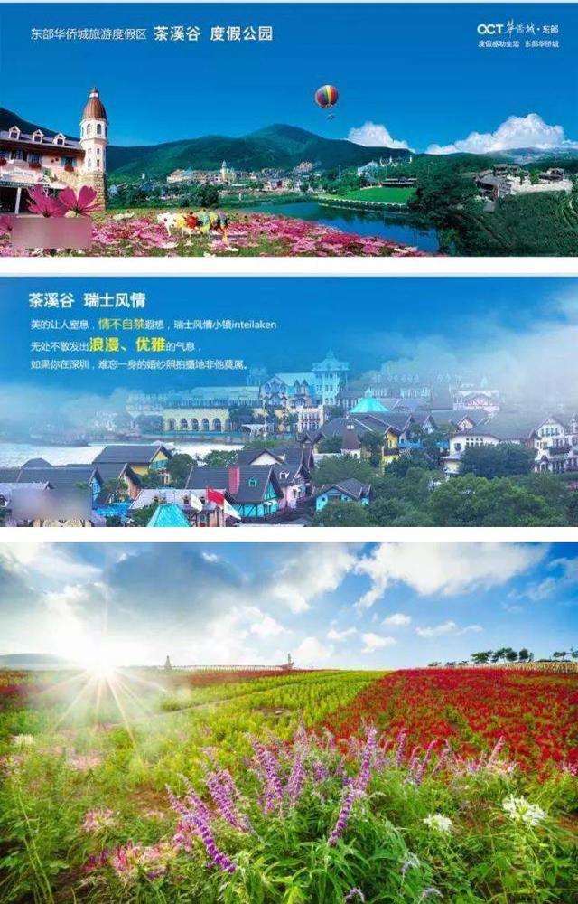 主要包括	大峡谷生态公园	,茶溪谷休闲公园,云海谷体育公园