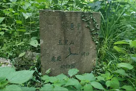 杭州西湖群山爬山攻略，周末去哪里看这一篇就够了！建议收藏图片