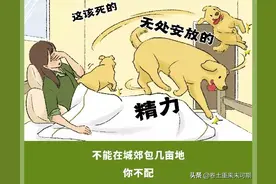 漫画：女生养大狗，对男朋友有什么坏处？图片
