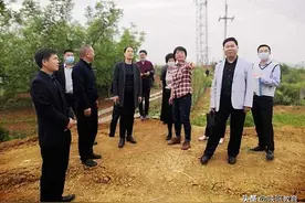 安康市副市长杨淼一行考察汉滨区职教中心迁建项目图片