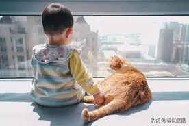 为什么不能养猫？|数读图片