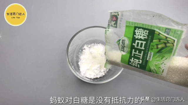 蚂蚁怕啥（灭蚂蚁用不到开水）