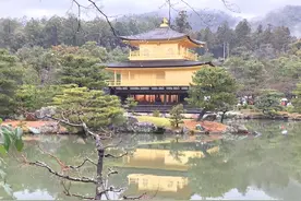 疫情下的日本，经济形势严峻，越来越多的女孩热衷于“女仆”行业图片