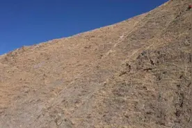 用肉眼难辨特种兵踪迹！解放军高原特战旅换装星空迷彩图片