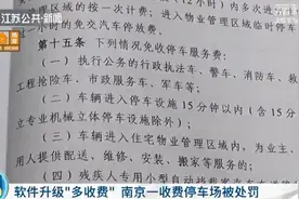 软件升级15000多辆车被“多收费”南京一收费停车场被处罚图片