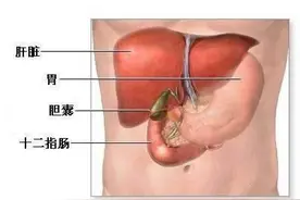 健康科普堂 | 胆囊结石和胆囊息肉，需要手术治疗吗？图片