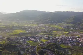 2020农业产业强镇建设名单公布 大池镇榜上有名视频封面