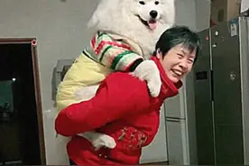 狗狗太调皮，春节送去给奶奶调教，看到这场面后，送错地方了图片