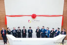 区域性律所新突破 上海中联（重庆）律师事务所揭牌图片