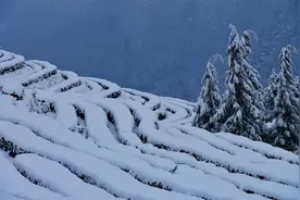 中国，请停止快餐式消费图片