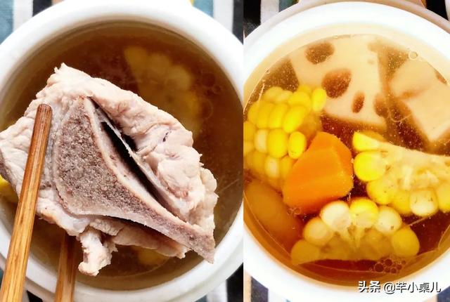 养生壶怎么做花胶 2026年养生壶怎么做花胶视频