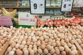 母鸡不受精也能产蛋，公鸡丧失雄性价值？公鸡的存在是否多余？图片