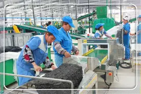 2021年，适合农村开办的加工厂有哪些？这几个投资小、有前景图片