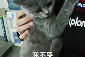 靠自己的本事赚钱交房租，房东凭什么擅自打开我的门？图片