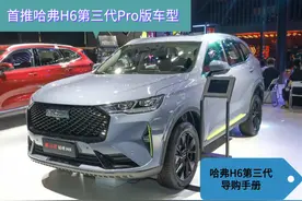 哈弗H6第三代车型推出四个版本图片