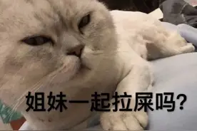 表情包：是你亲的我？这谁能顶得住啊图片
