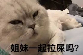 表情包：是你亲的我？这谁能顶得住啊图片