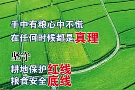 如何避免粮田不种粮，守好18亿亩耕地红线？防止“耕地非粮化”图片