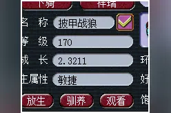 梦幻西游：如何让自己的固伤输出达到最大化？图片