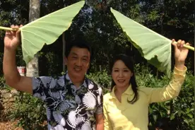 广东电视台出现过的五对夫妻档节目主持人，你最喜欢当中哪一对？图片