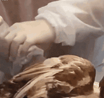 开心一刻｜一个人容易想太多，想太多容易一个人