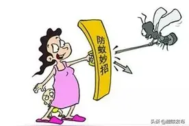 嗡嗡嗡嗡，蚊子扰人的季节又来了，防蚊小窍门学一下？图片
