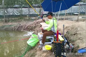 行其事、利其器——不同场景和饵盆、分饵盆、拉饵盆的选择及应用图片