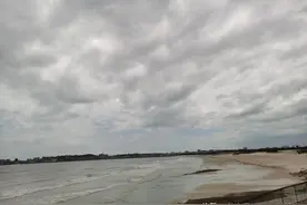 晋江深沪海底古树林遗址图片